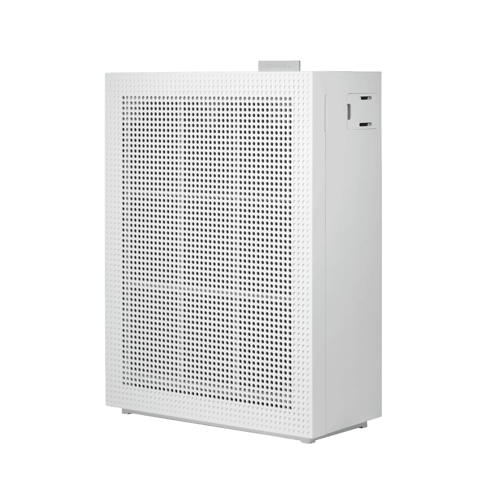 Coway AP-1019C