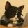@CodingCat