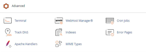 New to cPanel? RSH Web Services simplifies the process with an easy-to-follow guide for beginners, covering essential features to make hosting and domain management simple